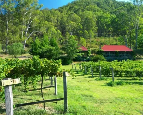 Cedar Creek Cottages Hotels in Millfield