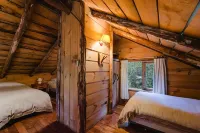 Huilo Huilo Cabañas del Bosque Hotels in 