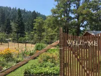 Coho Cottages Hotels in Willow Creek