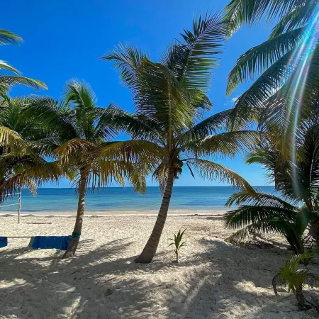 Pronoia Casa de Playa
