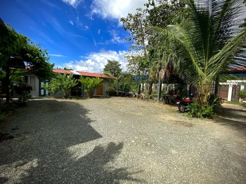 金剛鸚鵡房間與游泳池