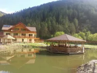 Pensiunea Casiana Hotels in 