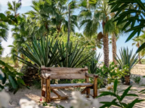 La Poza Boutique Hotel & Spa - Adults Only Hoteles en Todos Santos