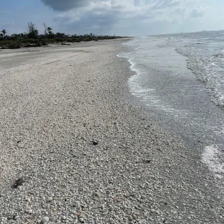Tarpon Tale Inn