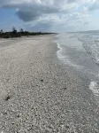 Tarpon Tale Inn Hotels in Sanibel