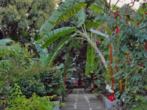 Hotel Los Cedros Hoteles en Uruapan