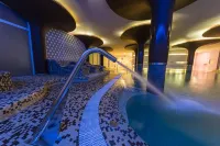 阿爾瓦賽特比特里茲酒店 - SPA