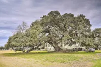 Vintage Louisiana Vacation Rental Home - Park Yeri