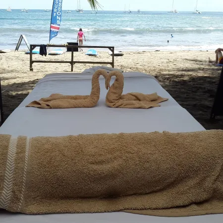 Hotel la Palapa