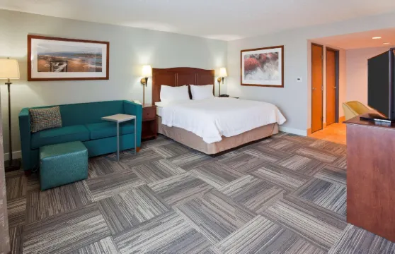 德盧斯運河公園歡朋酒店