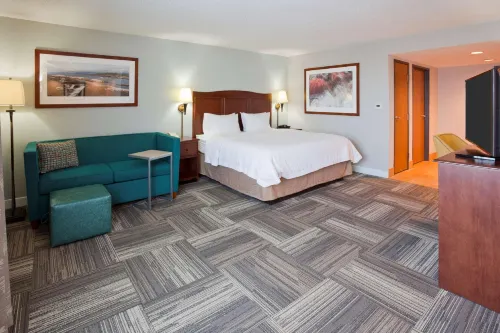 希爾頓歡朋飯店-德盧斯