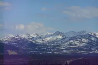 Experience true Alaska secluded Cabin just 15 minutes from Denali National Park.