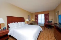 Hilton Garden Inn Indianapolis Airport Hotel di Indianapolis