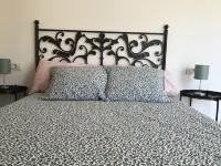 Starfish apartment