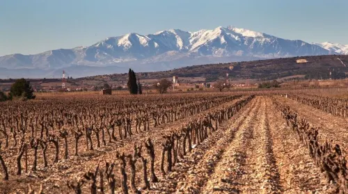 Une Halte Entre Terre et mer Hôtels à : Espira-de-l'Agly