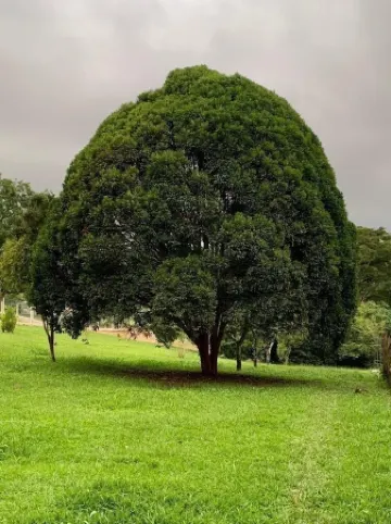 Fantastic swimming pool