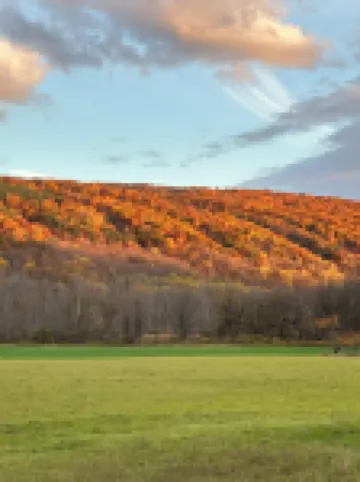 Mountain View Cabin 이탈리 호텔