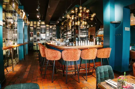 Ambassador City Centre Hotel Отели в г. Гарлем