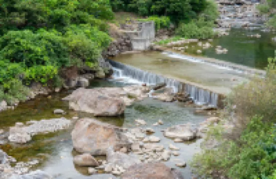 Gurye Peanut Pension