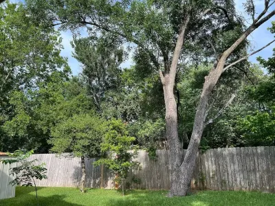 Cozy, Updated Home with 2 Kings & Foosball, Near Domain, Q2, Downtown Austin Hoteles cerca de Microelectronics Research Center Department of Electrical and Computer Engineering