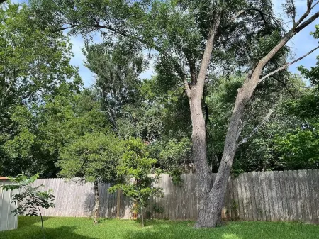 Cozy, Updated Home with 2 Kings & Foosball, Near Domain, Q2, Downtown Austin Отели рядом с достопримечательностью «Microelectronics Research Center Department of Electrical and Computer Engineering»
