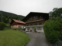 Chalet in Wilderswil with Jungfrau Views