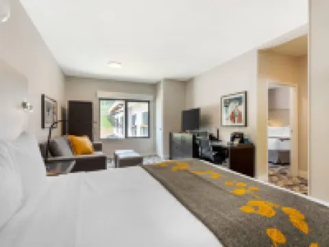 Cambria Hotel Copper Mountain Hotels in Copper Mountain