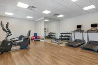 Holiday Inn Express & Suites LANCASTER - MOUNT JOY by IHG - Gym