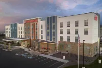 힐튼 가든 인 덴버 공항 타워 로드