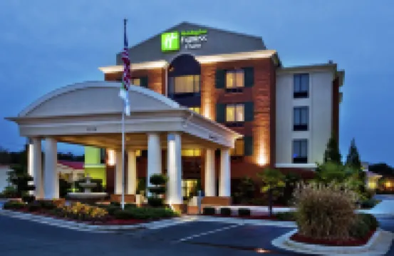Holiday Inn Express & Suites MCDONOUGH by IHG