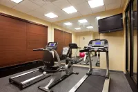 Holiday Inn ST. LOUIS-FAIRVIEW HEIGHTS by IHG - Træningscentre