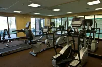 Holiday Inn Express & Suites LANSING-DIMONDALE by IHG