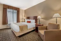 Best Western Plus Louisville Inn  Suites
