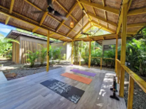 Sombra Bungalow Hotels in Punta Uva