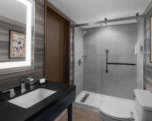 Embassy Suites by Hilton Phoenix Biltmore Photos