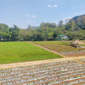 THE STAY IN KHAOYAI Отели рядом с достопримечательностью «Wat Tha Chang»