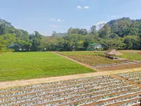 THE STAY IN KHAOYAI