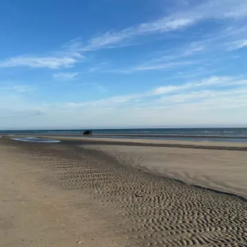 4 Person Holiday Home in Fanø