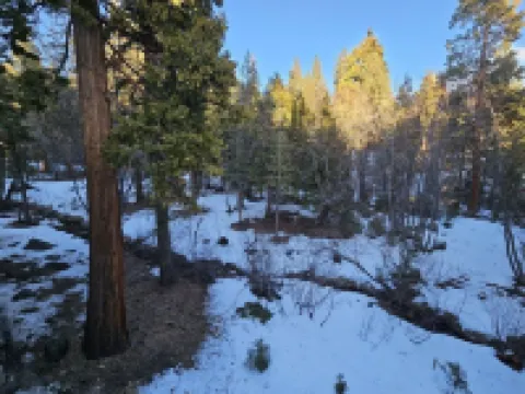 Forest View Townhouse 3 Bedroom Home by RedAwning