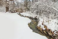 Cozy and Spacious House Situated in the Heart of up North and Snow Activities!