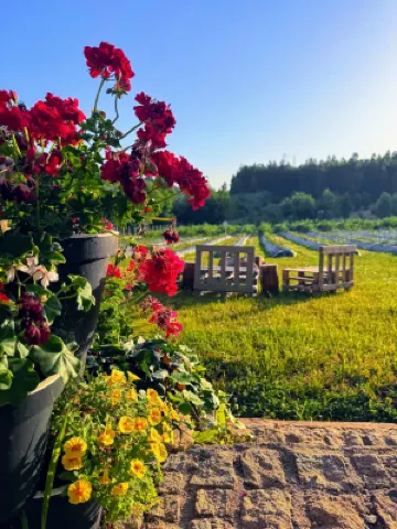 Quinta Vale Salgueiro Hotels in 