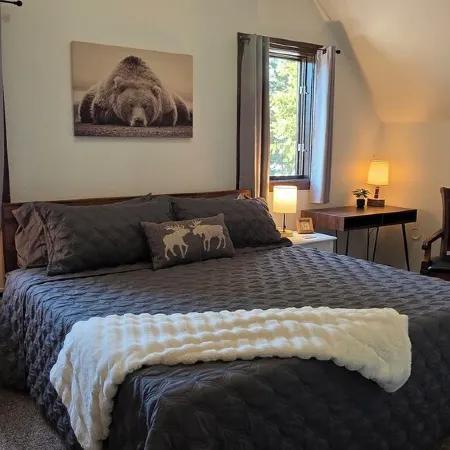 Adventure Cabin -Coolin Priest Lake; King Bed, Bunks, Atv and Snowmobile Parking