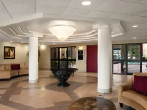 トロピカル パームス ホテル クリアウォーターのホテル