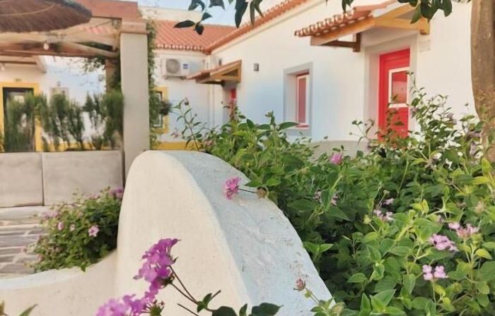 Luxury Palm Suites
