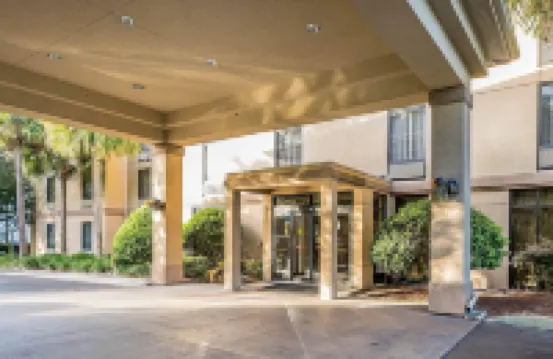 컴포트 인 유니버시티