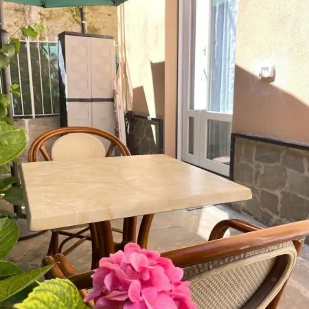 JOIVY Little Garden Studio Gattorno