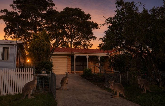 Spacious three-bedroom holiday home with the entire house exclusively yours