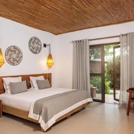 Royal Horizon Baobab
