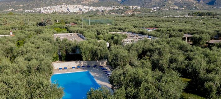 Apartment Ulivo with Pool and Private Beach Hotels in Mattinata
