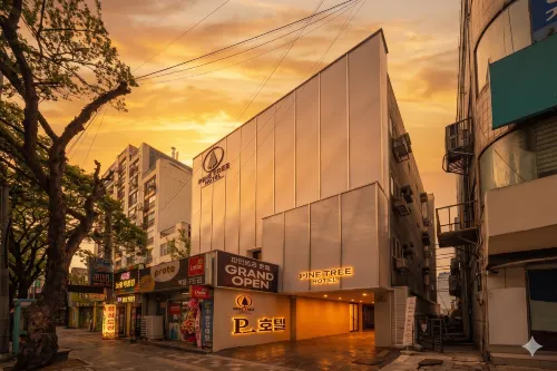 PINETREE Hotel in Gamsam-dong, Daegu - โมเทล